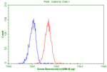 CD4 Antibody in Flow Cytometry (Flow)