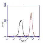 CD4 Antibody in Flow Cytometry (Flow)