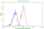 CD44 Antibody in Flow Cytometry (Flow)