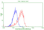 CD44 Antibody in Flow Cytometry (Flow)