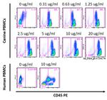 CD45 Antibody in Flow Cytometry (Flow)