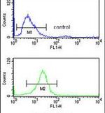 CD49f Antibody in Flow Cytometry (Flow)