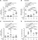 CD4 Antibody in Flow Cytometry (Flow)