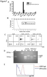 CD4 Antibody in Flow Cytometry (Flow)