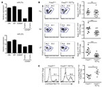 CD4 Antibody in Flow Cytometry (Flow)