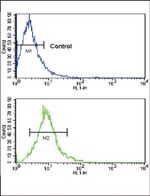 CD4 Antibody in Flow Cytometry (Flow)