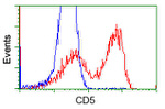 CD5 Antibody in Flow Cytometry (Flow)