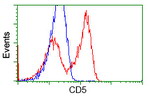 CD5 Antibody in Flow Cytometry (Flow)