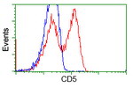 CD5 Antibody in Flow Cytometry (Flow)