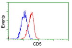 CD5 Antibody in Flow Cytometry (Flow)