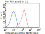 CD5 Antibody in Flow Cytometry (Flow)