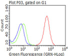 CD5 Antibody in Flow Cytometry (Flow)
