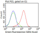 CD5 Antibody in Flow Cytometry (Flow)