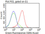 CD5 Antibody in Flow Cytometry (Flow)