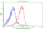 CD5 Antibody in Flow Cytometry (Flow)