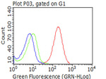 CD5 Antibody in Flow Cytometry (Flow)