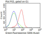 CD5 Antibody in Flow Cytometry (Flow)