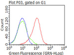 CD5 Antibody in Flow Cytometry (Flow)