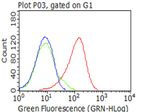 CD5 Antibody in Flow Cytometry (Flow)