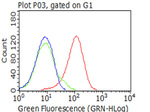 CD5 Antibody in Flow Cytometry (Flow)