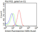 CD5 Antibody in Flow Cytometry (Flow)