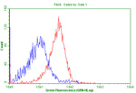 CD5 Antibody in Flow Cytometry (Flow)