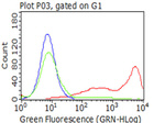 CD5 Antibody in Flow Cytometry (Flow)