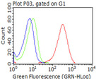 CD5 Antibody in Flow Cytometry (Flow)