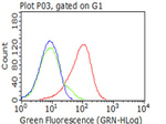 CD5 Antibody in Flow Cytometry (Flow)
