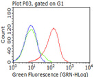 CD5 Antibody in Flow Cytometry (Flow)