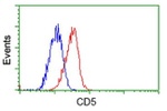 CD5 Antibody in Flow Cytometry (Flow)