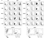 CD55 Antibody in Flow Cytometry (Flow)