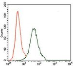 CD5 Antibody in Flow Cytometry (Flow)