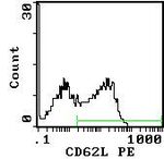 CD62L Monoclonal Antibody (OX-85)