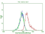 CD63 Antibody in Flow Cytometry (Flow)