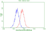 CD63 Antibody in Flow Cytometry (Flow)