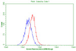 CD63 Antibody in Flow Cytometry (Flow)