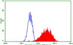 CD68 Antibody in Flow Cytometry (Flow)