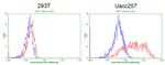 CD68 Antibody in Flow Cytometry (Flow)