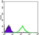 CD69 Antibody in Flow Cytometry (Flow)