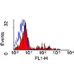 CD79b Monoclonal Antibody (AT105-1)