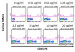 CD8 Antibody in Flow Cytometry (Flow)