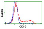 CD80 Antibody in Flow Cytometry (Flow)