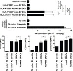 CD8 Antibody in Flow Cytometry (Flow)