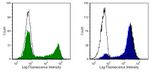 CD8 alpha Antibody in Flow Cytometry (Flow)
