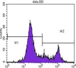 CD8 alpha Antibody in Flow Cytometry (Flow)