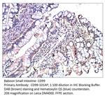 CD99 Polyclonal Antibody