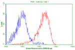 CD99 Antibody in Flow Cytometry (Flow)