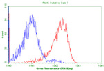 CD99 Antibody in Flow Cytometry (Flow)