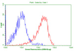 CD99 Antibody in Flow Cytometry (Flow)